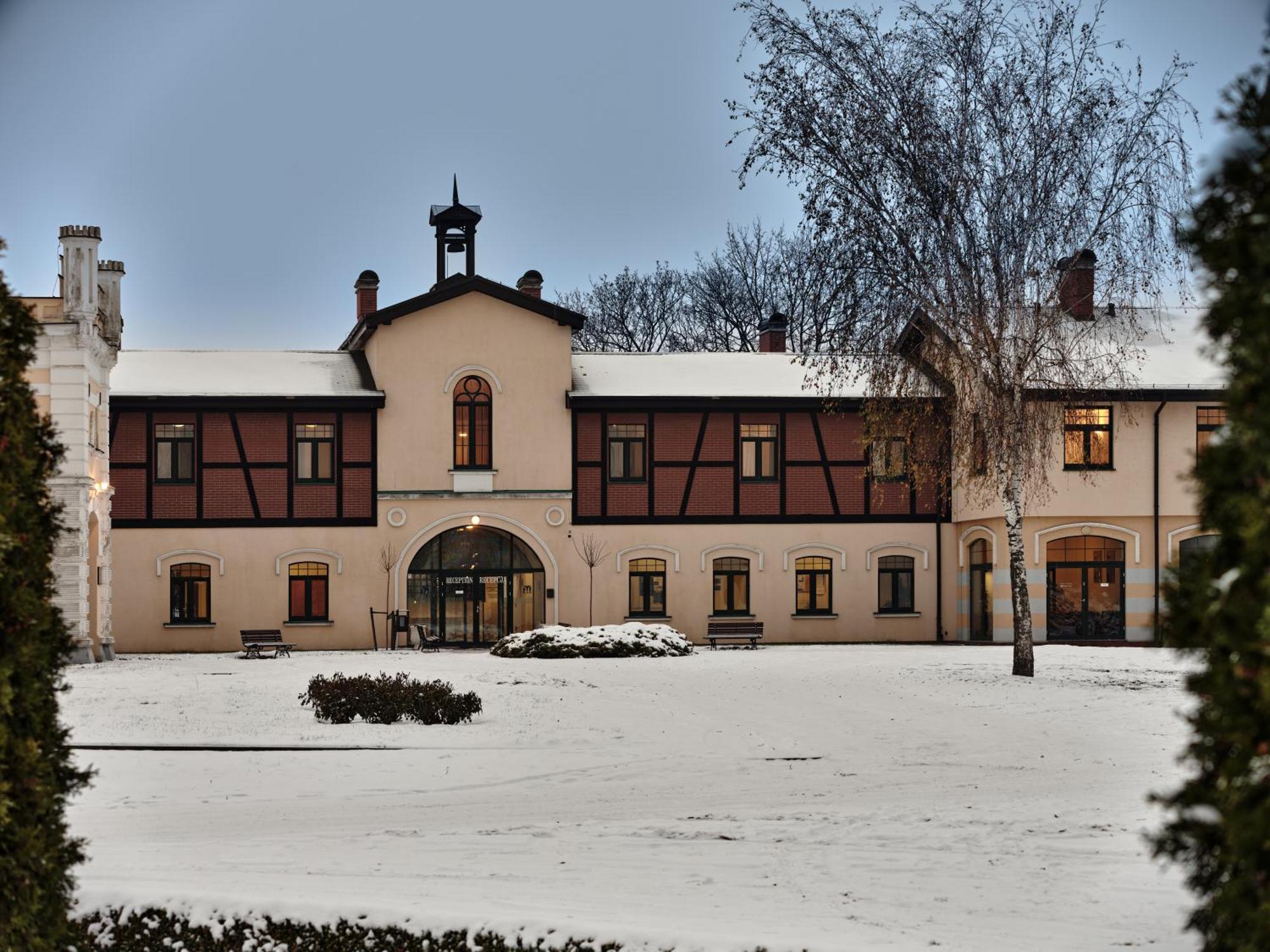 Palac Potockich W Bedlewie Hotell Bedlewo Eksteriør bilde